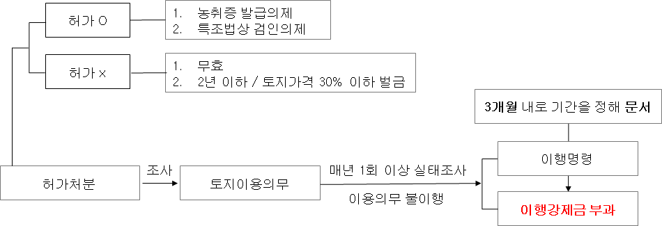 허가처분